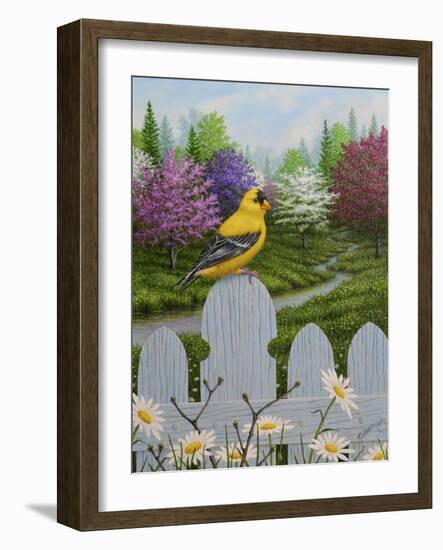 Goldfinch and Daisies-Robert Wavra-Framed Giclee Print