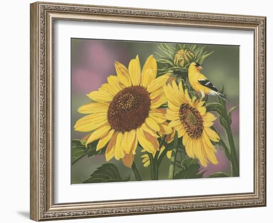 Goldfinch and Sunflowers-William Vanderdasson-Framed Giclee Print