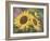 Goldfinch and Sunflowers-William Vanderdasson-Framed Giclee Print