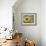 Goldfinch and Sunflowers-William Vanderdasson-Framed Giclee Print displayed on a wall