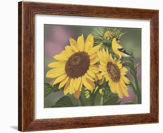 Goldfinch and Sunflowers-William Vanderdasson-Framed Giclee Print