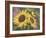 Goldfinch and Sunflowers-William Vanderdasson-Framed Giclee Print