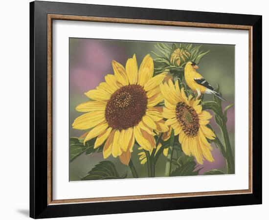 Goldfinch and Sunflowers-William Vanderdasson-Framed Giclee Print