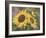 Goldfinch and Sunflowers-William Vanderdasson-Framed Giclee Print