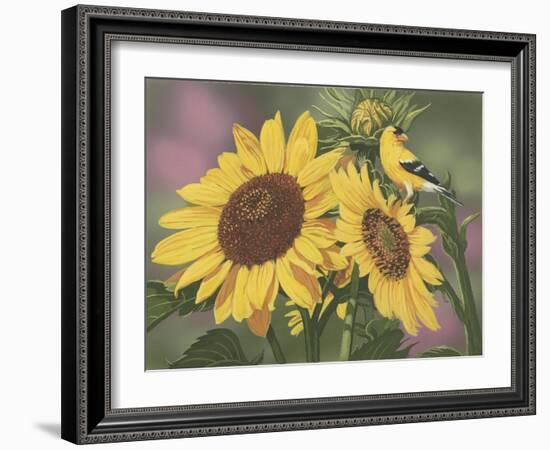 Goldfinch and Sunflowers-William Vanderdasson-Framed Giclee Print