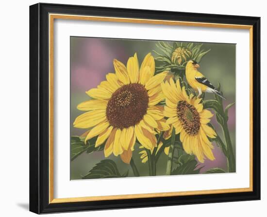 Goldfinch and Sunflowers-William Vanderdasson-Framed Giclee Print