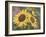 Goldfinch and Sunflowers-William Vanderdasson-Framed Giclee Print