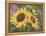 Goldfinch and Sunflowers-William Vanderdasson-Framed Premier Image Canvas