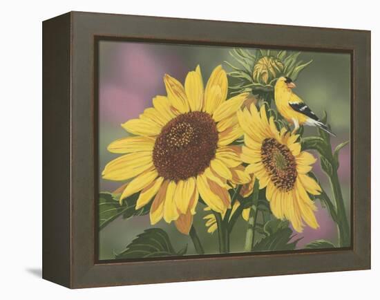 Goldfinch and Sunflowers-William Vanderdasson-Framed Premier Image Canvas