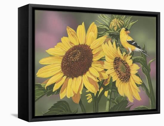 Goldfinch and Sunflowers-William Vanderdasson-Framed Premier Image Canvas