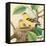 Goldfinch and Warbler A-John Gould-Framed Stretched Canvas