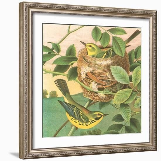 Goldfinch and Warbler B-John Gould-Framed Art Print