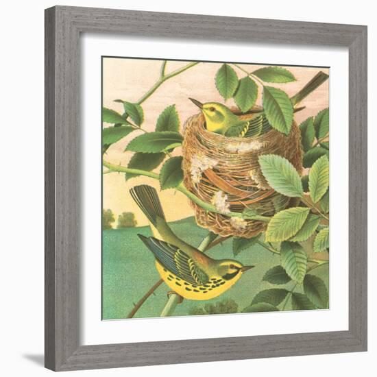 Goldfinch and Warbler B-John Gould-Framed Art Print