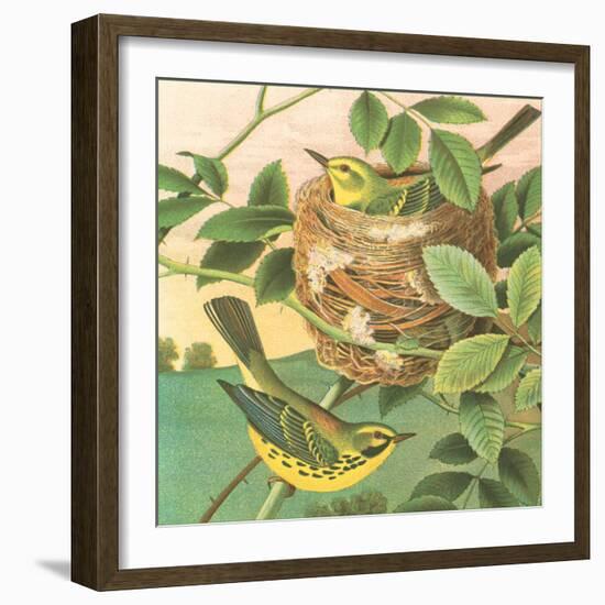 Goldfinch and Warbler B-John Gould-Framed Art Print