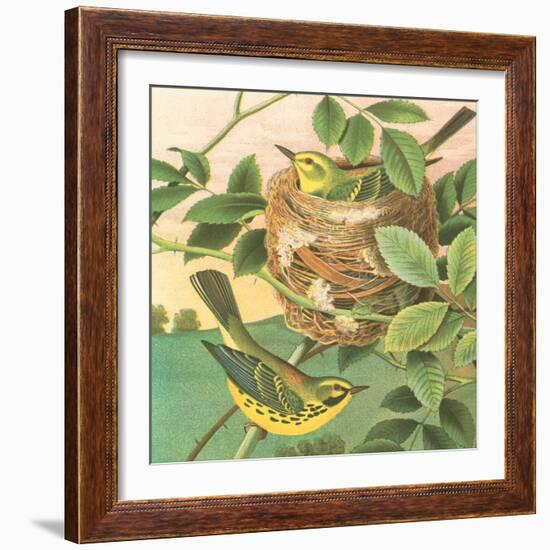 Goldfinch and Warbler B-John Gould-Framed Art Print