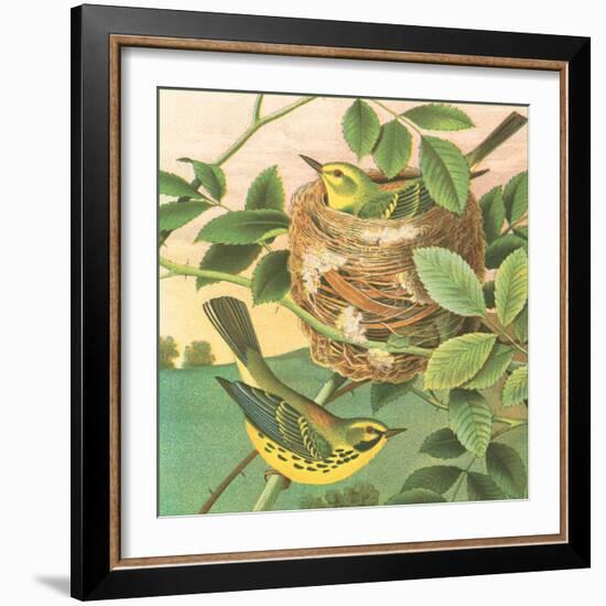 Goldfinch and Warbler B-John Gould-Framed Art Print