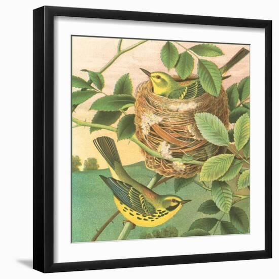 Goldfinch and Warbler B-John Gould-Framed Art Print