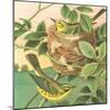 Goldfinch and Warbler B-John Gould-Mounted Art Print