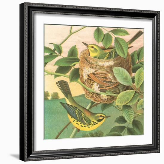 Goldfinch and Warbler B-John Gould-Framed Art Print