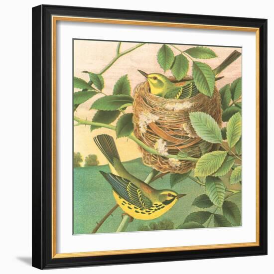 Goldfinch and Warbler B-John Gould-Framed Art Print