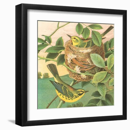 Goldfinch and Warbler B-John Gould-Framed Art Print