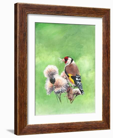 Goldfinch I, 2021 (w/c)-Helen White-Framed Giclee Print