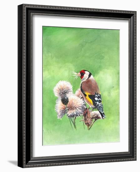 Goldfinch I, 2021 (w/c)-Helen White-Framed Giclee Print