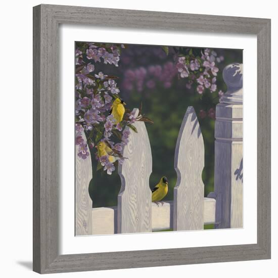 Goldfinch Trio-Jeffrey Hoff-Framed Giclee Print