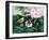 Goldfinch-Fred Ludekens-Framed Giclee Print