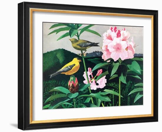 Goldfinch-Fred Ludekens-Framed Giclee Print