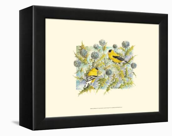 Goldfinches-Janet Mandel-Framed Stretched Canvas