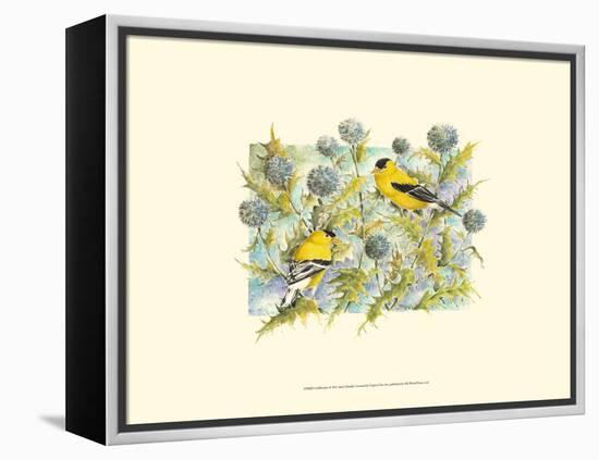 Goldfinches-Janet Mandel-Framed Stretched Canvas