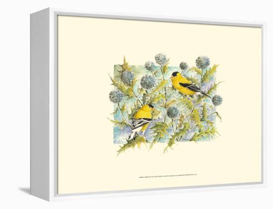 Goldfinches-Janet Mandel-Framed Stretched Canvas