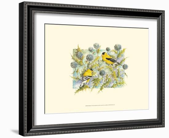 Goldfinches-Janet Mandel-Framed Premium Giclee Print