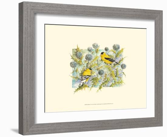 Goldfinches-Janet Mandel-Framed Art Print