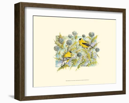 Goldfinches-Janet Mandel-Framed Art Print