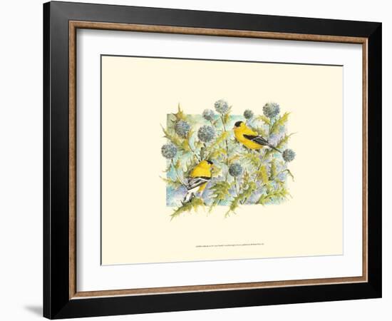 Goldfinches-Janet Mandel-Framed Art Print