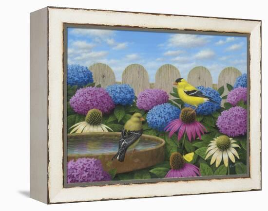 Goldfinches-Robert Wavra-Framed Premier Image Canvas