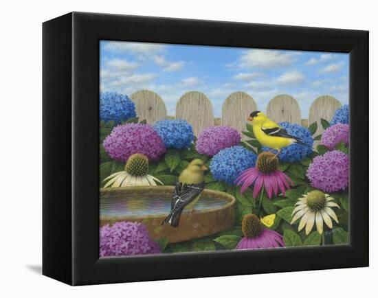 Goldfinches-Robert Wavra-Framed Premier Image Canvas