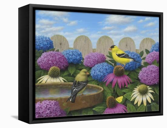 Goldfinches-Robert Wavra-Framed Premier Image Canvas