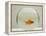 Goldfish Alone in Goldfish Bowl-null-Framed Premier Image Canvas