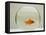 Goldfish Alone in Goldfish Bowl-null-Framed Premier Image Canvas