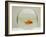 Goldfish Alone in Goldfish Bowl-null-Framed Photographic Print