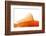 Goldfish, Dorsal Fin-Herbert Kehrer-Framed Photographic Print