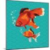 Goldfish I-Patty Young-Mounted Art Print