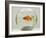 Goldfish in Goldfish Bowl with Weed-null-Framed Photographic Print