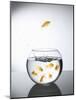 Goldfish jumping out of a bowl and escaping from the crowd-Steve Lupton-Mounted Photographic Print
