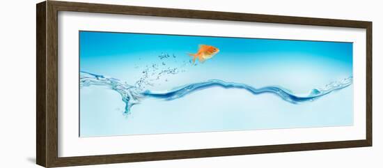 Goldfish Jumping Out of Water-null-Framed Photographic Print