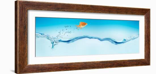 Goldfish Jumping Out of Water-null-Framed Photographic Print