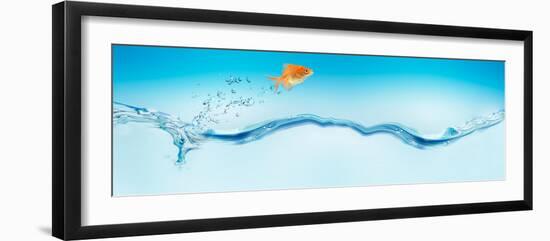 Goldfish Jumping Out of Water-null-Framed Photographic Print